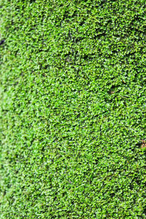 backgroundの写真素材