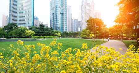 the modern building of the lujiazui financial centre in shanghai china.の写真素材