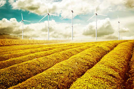 eco energy, wind turbinesの写真素材