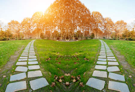 Path in the park. Summer landscapeの写真素材