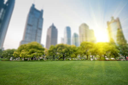 city park with modern building background in shanghaiの写真素材