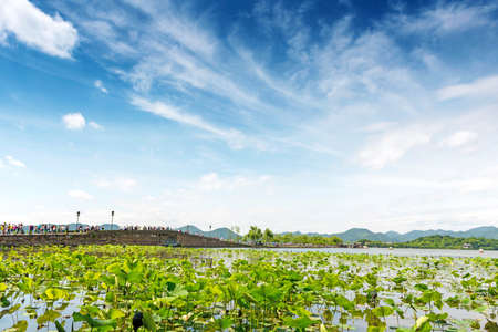 View on the enchanting West Lake, Hangzhou, Chinaの写真素材