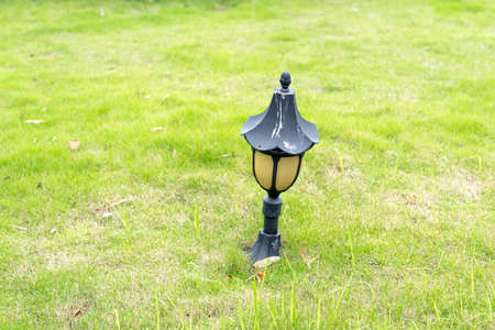 Garden light on grass backgroundの写真素材