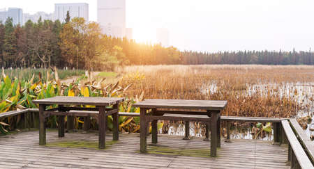 Picnic table in a picturesque nature waterfront settingの写真素材