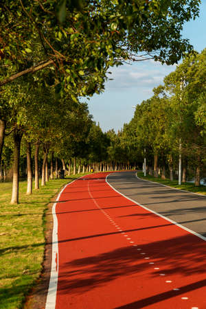 New pathway and beautiful trees track for running or walking and cycling relax in the parkの写真素材