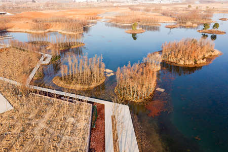 Aerial view, forests and lakesの写真素材