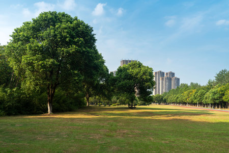 spring park and modern cityの写真素材