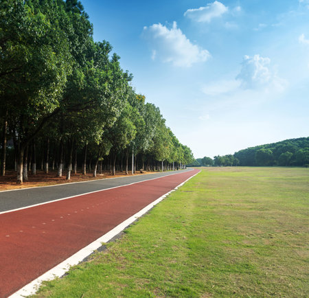 New pathway and beautiful trees track for running or walking and cycling relax in the parkの写真素材