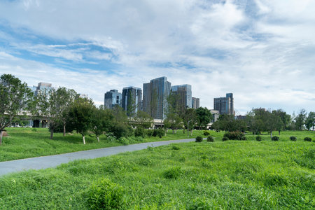spring park and modern cityの写真素材