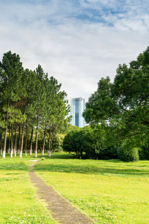 The road of City Park in Chinaの写真素材