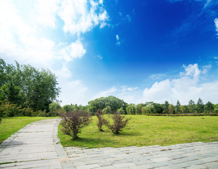 Empty street at the nice and comfortable great garden under lovely blue skyの写真素材