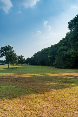 Beautiful panorama of green city parkの写真素材