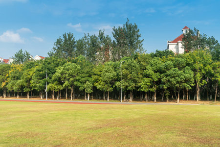 Beautiful panorama of green city parkの写真素材