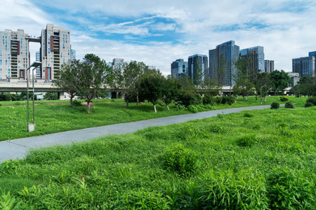 spring park and modern cityの写真素材