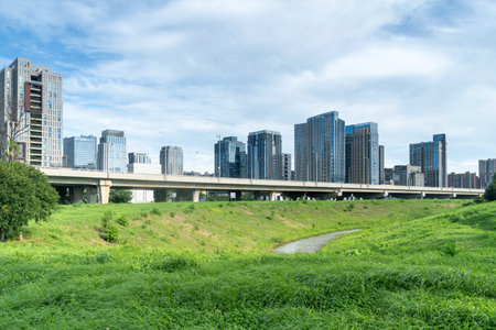 flower field in park at city center and modern cityの写真素材