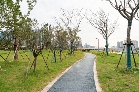 The road of City Park in China