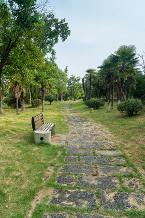 The road of City Park in Chinaの写真素材