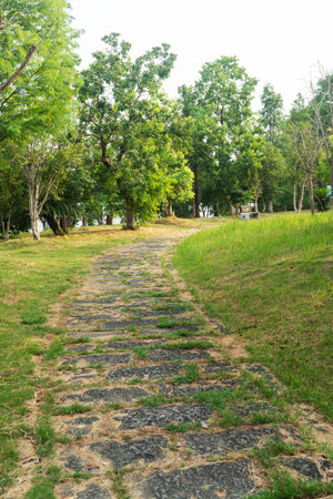 The road of City Park in Chinaの写真素材