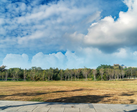 Beautiful panorama of green city parkの写真素材