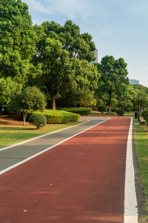 New pathway and beautiful trees track for running or walking and cycling relax in the parkの写真素材