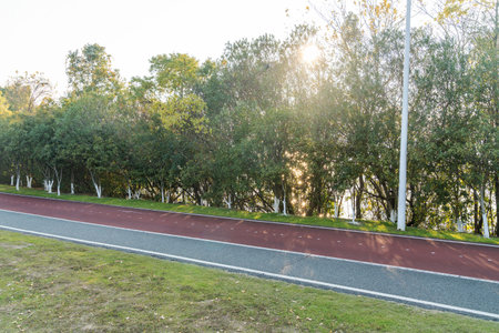 New pathway and beautiful trees track for running or walking and cycling relax in the park
