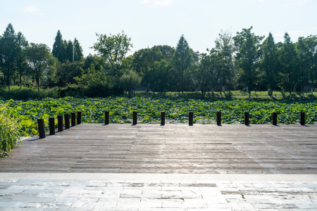 Empty street at the nice and comfortable great garden under lovely blue skyの写真素材
