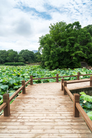 boardwalk in the City Parkの写真素材