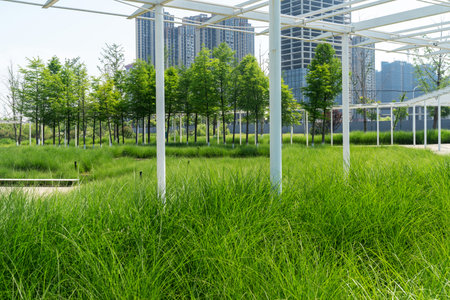 spring park and modern cityの写真素材