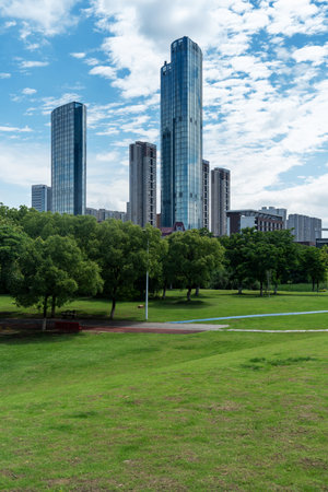 city park with modern building background in shanghaiの写真素材