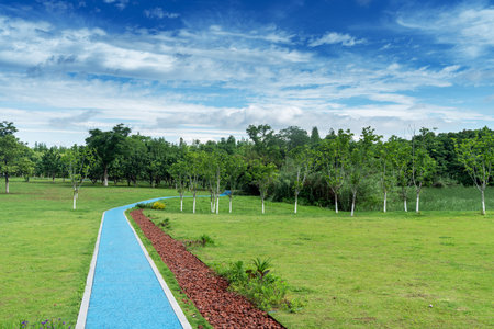 New pathway and beautiful trees track for running or walking and cycling relax in the parkの写真素材