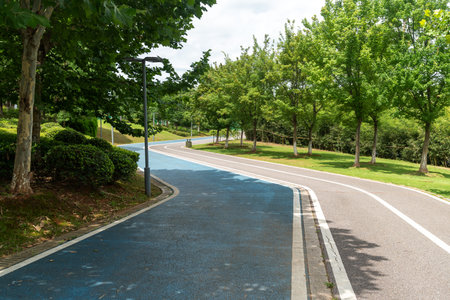 New pathway and beautiful trees track for running or walking and cycling relax in the park