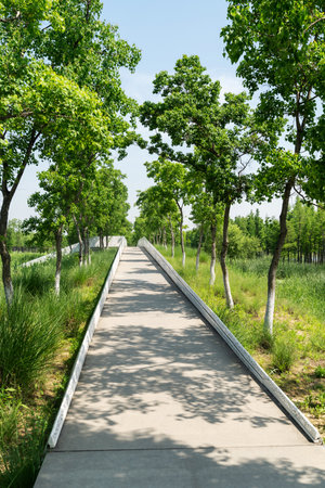 The road of City Park in Chinaの写真素材