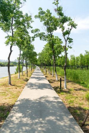 The road of City Park in China