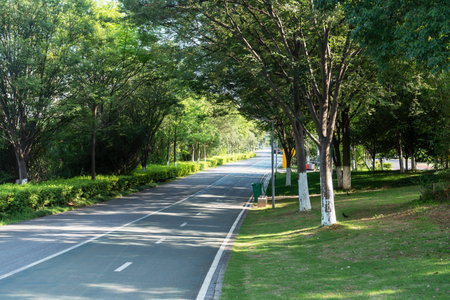 New pathway and beautiful trees track for running or walking and cycling relax in the park