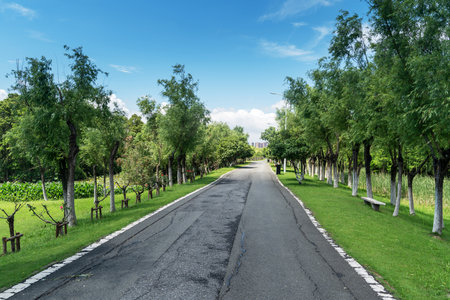 The road of City Park in Chinaの写真素材