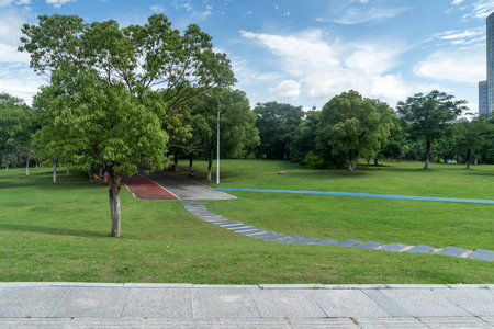 spring park and modern cityの写真素材