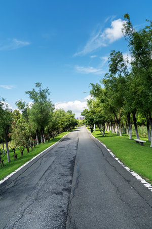 The road of City Park in Chinaの写真素材