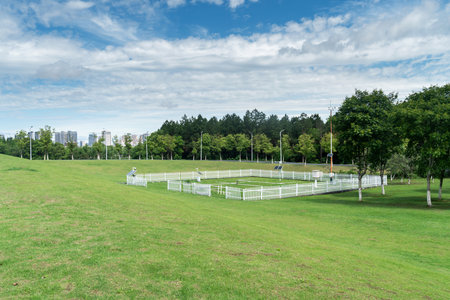 spring park and modern cityの写真素材