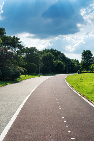 New pathway and beautiful trees track for running or walking and cycling relax in the parkの写真素材