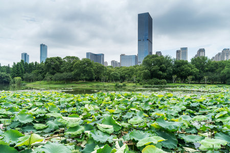 Lakeside modern office building in Chinaの写真素材