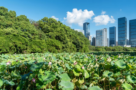 spring park and modern cityの写真素材