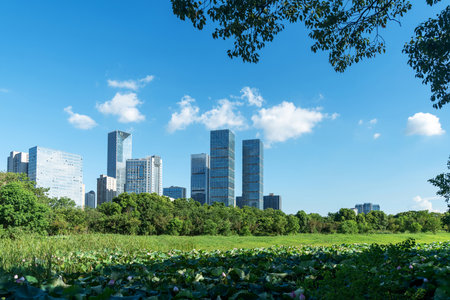 spring park and modern cityの写真素材