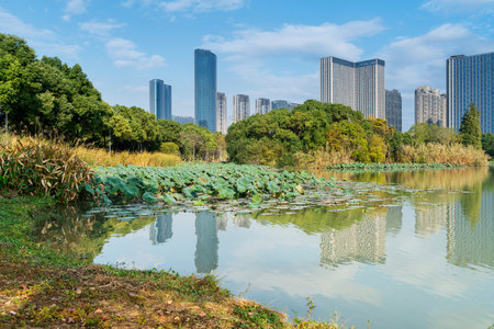 Lakeside modern office building in Chinaの写真素材