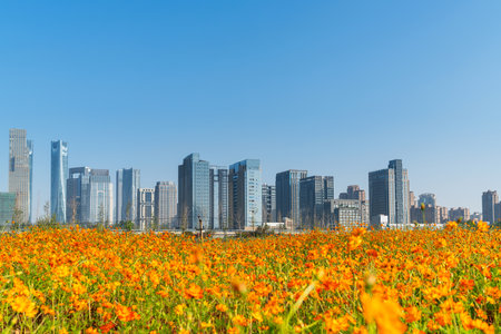 flower field in park at city center and modern cityの写真素材