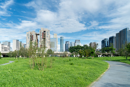 city park with modern building background in shanghaiの写真素材