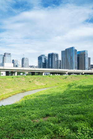 flower field in park at city center and modern cityの写真素材