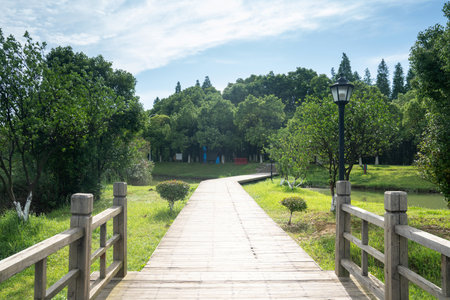 boardwalk in the City Parkの写真素材