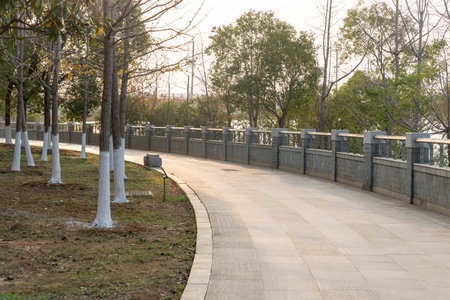 walkway in the modern cityの写真素材