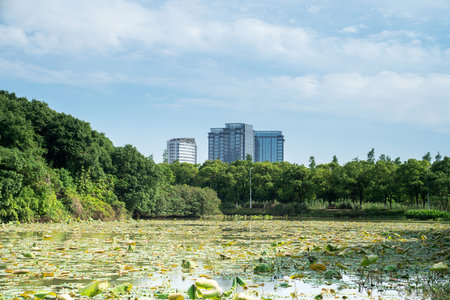 spring park and modern cityの写真素材