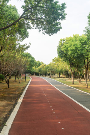 New pathway and beautiful trees track for running or walking and cycling relax in the park